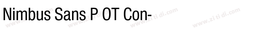 Nimbus Sans P OT Con字体转换 Nimbus Sans P OT Con字体转换